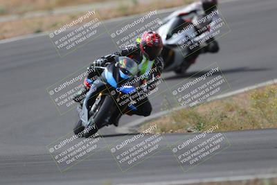 media/May-09-2022-Moto Forza (Mon) [[0226cf3505]]/Group B/B 1020am/